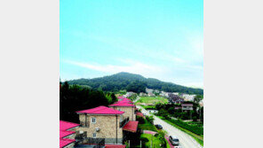 [화제의 분양현장]평택 파인힐타운 