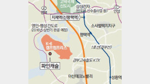 [화제의 분양현장]평택 주한미군 렌털하우스, 임대수익 월 400만 원 예상 ‘블루칩’ 