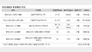 ‘뜨거운 하반기’ 동탄생활권서 연말까지 1만247가구 분양