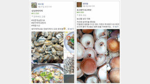 여기는 SNS 장터 “물건은 덤, 이야기를 팝니다” 
