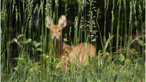 비극의 땅에서 피어난 생명의 희망