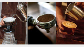 6000원 vs 1500원 커피의 결정적 차이는?