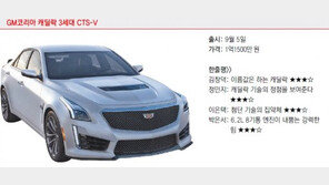 [CAR]“하반기 판매절벽 넘어라”… 구원투수로 나선 신차 모델은? 