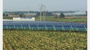 정부, 절대농지 해제 추진…쌀 공급과잉 해결 나선다