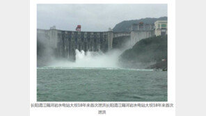 홍수에 1만t 규모 양식 외래 철갑상어 탈출, 中 양쯔강 생태계 비상