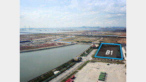 송도 역세권 주상복합용지 매물로 나와