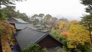 “‘영남의 알프스’ 양산에서 가을을 만끽해 보이소”