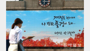 이 가을엔 나도 풍경처럼…