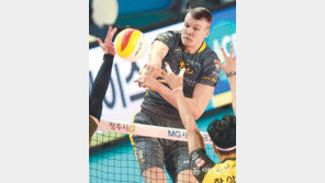 KB손보 우드리스, 19득점 고공폭격