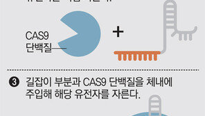 스웨덴서 인간배아 유전자 편집 실험… 과학계 “금단의 영역 건드리나” 논란