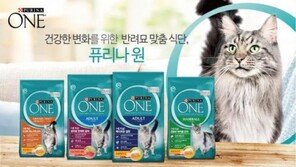 퓨리나 원, 영양·기호성 강화 반려묘 건강식 출시