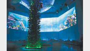 [Rise Up, 충청!]해양생물이 궁금하세요? ‘시큐리움’에선 다 볼 수 있어요