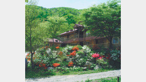 [Rise Up, 충청!]희리산-오서산-황정산-상당산성…가을철 가족 힐링에 최적