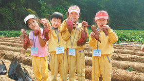 [Rise Up, 충청!]채소 모종 심기-고구마 수확체험 등 자연과 어우러지는 축제