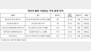 연타석 홈런 기대되는 후속 분양단지 ‘눈길’