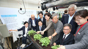 KT, 국내 최초 장애인 맞춤형 스마트팜 구축