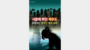 [카드뉴스]시름에 빠진 ‘제주도’…중국인 범죄 급증하는 이유는?
