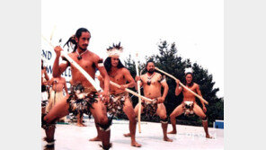 세계섬문화축제 17년만에 부활… 흥행 성공할까?