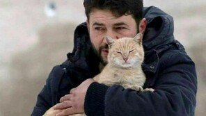 포연 자욱한 시리아의 고양이 아빠.."죽기 전까지 고양이 돌본다"
