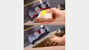 차량 선루프로 샌드위치 던져주는 한국인 아내 영상, 세계적 관심