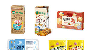 콩·견과류·치즈·달걀·카레…기억력 높이는 ‘브레인 푸드’