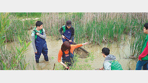 서천군 ‘해랑들랑 어울제’ 10월 1일 개막