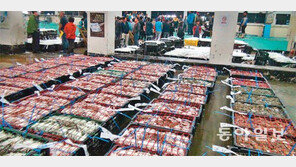 “반갑다 꽃게야”… 대풍 기대감에 어민들 웃음꽃