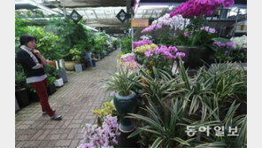 호텔식당 예약 30% 줄어… 화환배달 절반 취소