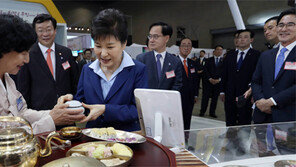 朴대통령 “정상 오르기 직전이 가장 힘들어”