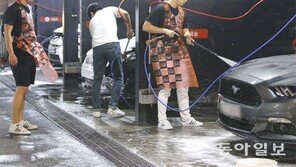 토요일밤 10시 50명 모였다, 세차하러…