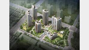 강남발 훈풍…신길뉴타운 사업속도 ‘가속화’