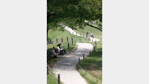 [Feeling]가을이 살포시 책 위로 내려앉습니다 마음이 한 뼘, 넉넉해졌습니다