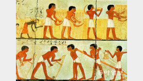 [책의 향기]자유 평등 정의는 에너지를 따라 진화했다