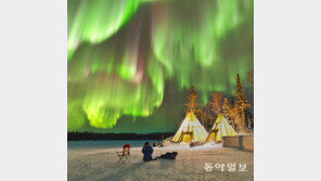 [책의 향기]해적이 애꾸눈인 이유, 과학적으로 설명해주마