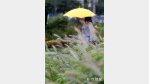 [날씨] 3일 전국 대체로 흐리고 비…오전 중에 대부분 그쳐