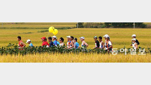 근육병 아들 위해… 아버지는 휠체어 밀며 뛰었다