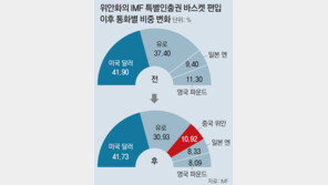 위안화, IMF 3대통화로 공식 발걸음