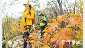 야외 운동의 계절… 만성 질환자, 몸에 맞는 운동법이 중요