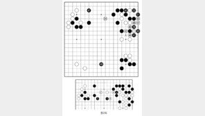 [바둑]역대 국수전 우승 결정국… 게릴라전