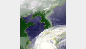 제주도, 오후8시 태풍주의보…18호 태풍 차바 언제까지 영향?