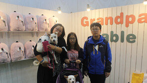 펫 간식 레시피·펫 아로마테라피…