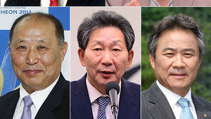 대한체육회장 선거, 절대강자는 없다