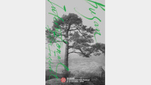 BIFF “태풍 차바로 야외무대 피해…전야행사는 예정대로 진행” 