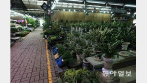 화훼협회장 “체감 수요 감소폭 90% 이상…김영란법 때문”