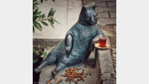 '생전 포즈 그대로'..동상으로 환생한 터키 고양이