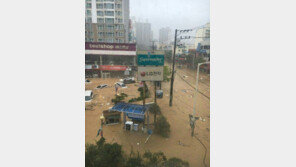 태풍 차바 피해 속출…구조활동 중 휩쓸린 119대원, 결국 숨진채 발견