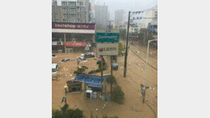 [태풍 피해]현대차 울산공장 2공장 생산라인 가동 중단…신차 침수 피해도
