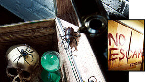 스타들이 열광하는 방탈출 카페