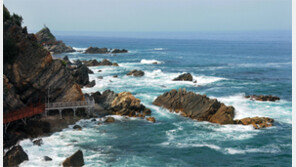 ‘정동진 해안단구 탐방로’ 17일 개통식