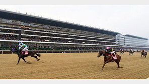 우대 정책·인프라 확대·경주 신설…마사회, ‘저연령마 육성’ 프로젝트